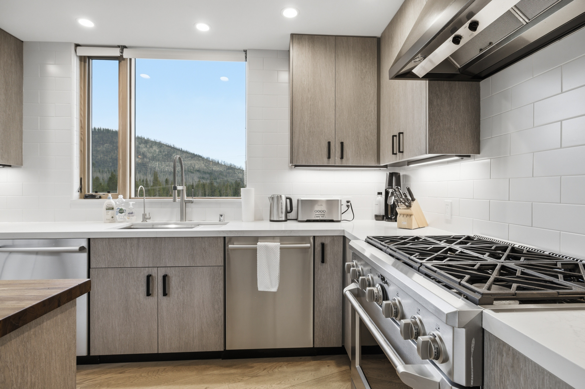 Kitchen sink, dishwasher, and stove with mountain view window
